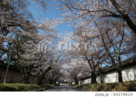 醍醐寺 醍醐寺 64270629