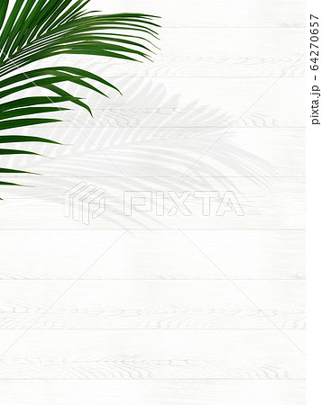 背景-トロピカル-白 64270657