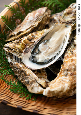 ザルに盛られた生牡蠣 ザルに盛られた生牡蠣 64271083
