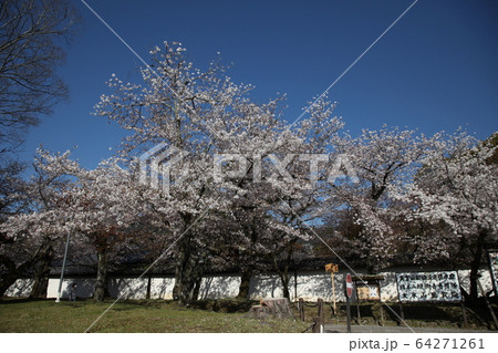 醍醐寺 64271261