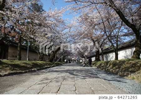 醍醐寺 醍醐寺 64271265