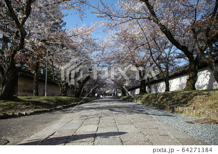 醍醐寺 64271384