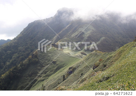 伊予富士 64271622