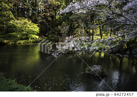 公園 公園 64272457