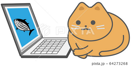 猫　パソコン 64273268