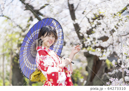 京都　満開の桜　祇園　着物の女性　指差し 64273310