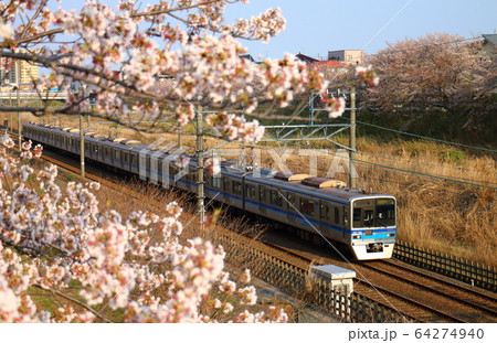 北総線 7800形 ほくそう さくら 白井 北総線 7800形 ほくそう さくら 白井 64274940