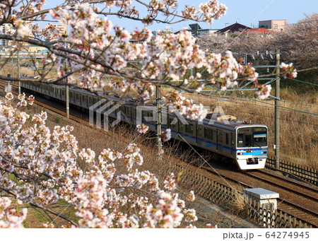 北総線 7800形 ほくそう さくら 白井 北総線 7800形 ほくそう さくら 白井 64274945