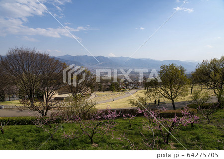 山梨県笛吹川フルーツ公園 山梨県笛吹川フルーツ公園 64275705