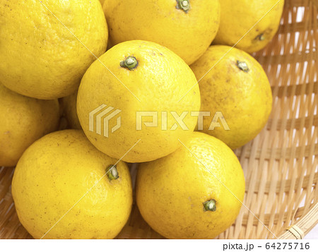 籠に入った無農薬で作られたオーガニックの小夏 籠に入った無農薬で作られたオーガニックの小夏 64275716