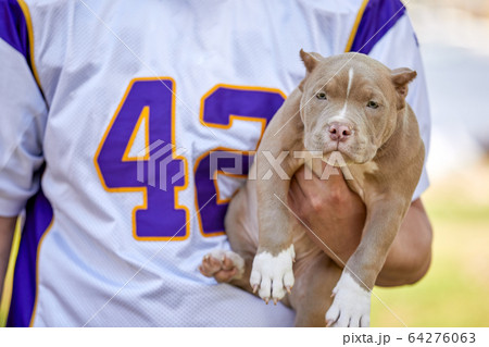 Premium Photo  American football player with a dog posing on