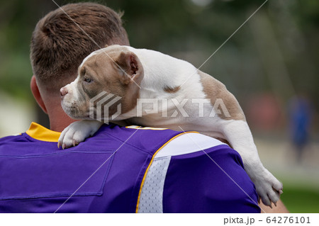American football player with a dog posing on - Stock Photo [64276108] -  PIXTA
