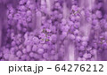 Beautiful blurred floral purple background 64276212