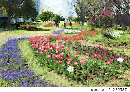 お台場 シンボルプロムナード公園のチューリップの花 流れの花壇 3月 東京都江東区のイラスト素材