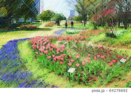 お台場 シンボルプロムナード公園のチューリップの花 流れの花壇 3月 東京都江東区のイラスト素材