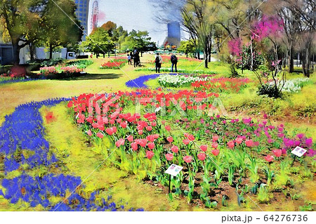 お台場 シンボルプロムナード公園のチューリップの花 流れの花壇 3月 東京都江東区のイラスト素材
