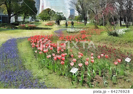 お台場、シンボルプロムナード公園のチューリップの花。流れの花壇（3月）東京都江東区 64276928
