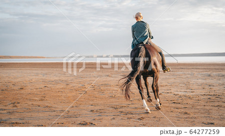 Woman rides horse on beautiful autumn nature landscape by river or lake. Concept of farm animals 64277259