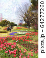 お台場、シンボルプロムナード公園のチューリップの花。流れの花壇（3月）東京都江東区 64277260