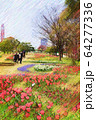 お台場、シンボルプロムナード公園のチューリップの花。流れの花壇（3月）東京都江東区 64277336