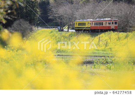 いすみ鉄道「春うららな日の沿線風景」 64277458