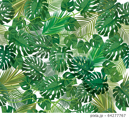 Seamless tropical, exotic leaves pattern. 64277767