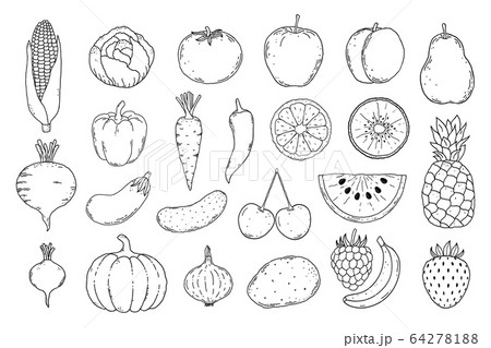 Collection of fruits and vegetables 64278188