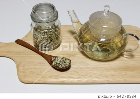 エキナセア エキナセア 64278534