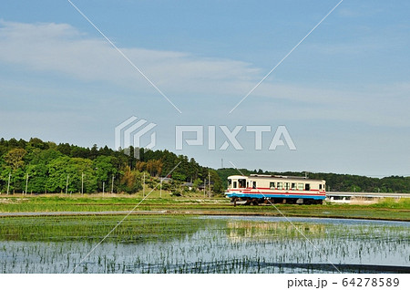 ひたちなか海浜鉄道湊線、中根・金上駅間を走る普通列車（ミキ300形） 64278589