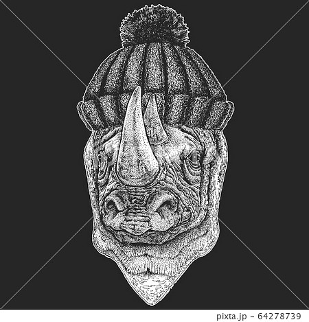Rhinoceros, rhino portrait. Winter knitted hat. Head of wild animal. Rhinoceros, rhino portrait. Winter knitted hat. Head of wild animal. 64278739