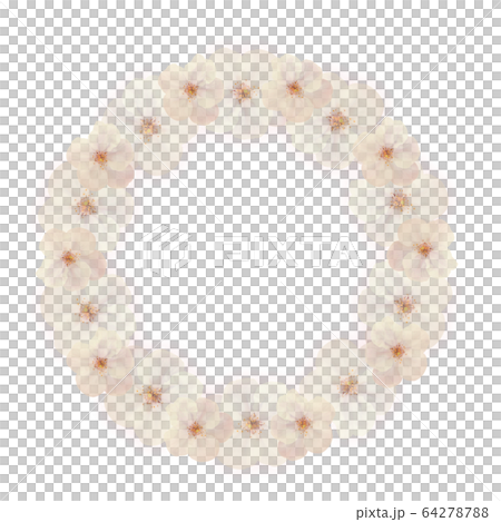 Cherry blossom, spring image, frame Cherry blossom, spring image, frame 64278788