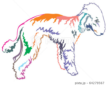 Colorful decorative standing portrait of 64279567