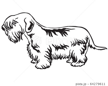 Decorative standing portrait of Sealyham Terrier 64279611