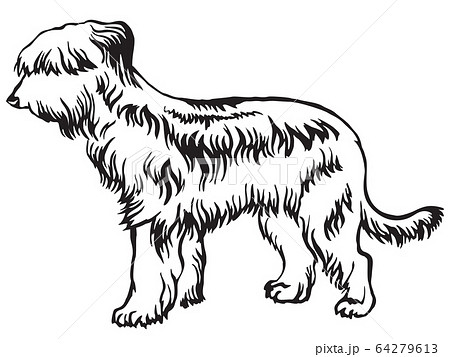 Decorative standing portrait of Briard vector 64279613