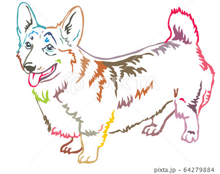 Colorful decorative standing portrait of Welsh Colorful decorative standing portrait of Welsh 64279884