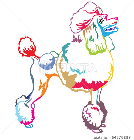 Colorful Decorative Standing Portrait Of Poodleのイラスト素材
