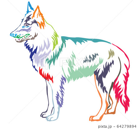 Colorful decorative standing portrait of Belgian Colorful decorative standing portrait of Belgian 64279894