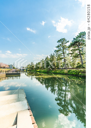 日光街道 国指定名勝 草加松原と桜の風景 日光街道 国指定名勝 草加松原と桜の風景 64280158