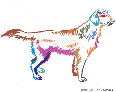 Colorful decorative standing portrait of Colorful decorative standing portrait of 64280503