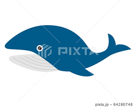 素材 くじらのイラスト素材