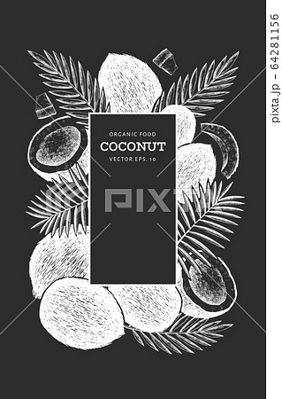 Coconut with palm leaves design template. Hand 64281156