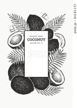 Coconut with palm leaves design template. Hand 64281157