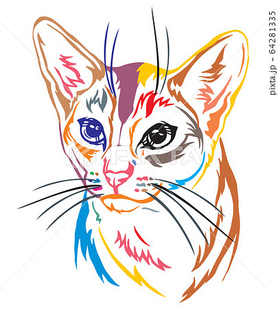 Colorful decorative portrait of Abyssinian Cat Colorful decorative portrait of Abyssinian Cat 64281335