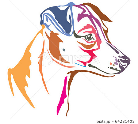 Colorful decorative portrait of Jack Russell 64281405
