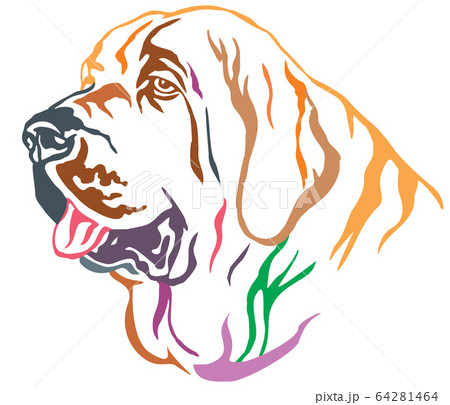 Colorful decorative portrait of Spanish Mastiff 64281464