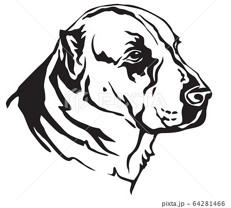 Decorative portrait of Central Asian Shepherd Dog Decorative portrait of Central Asian Shepherd Dog 64281466