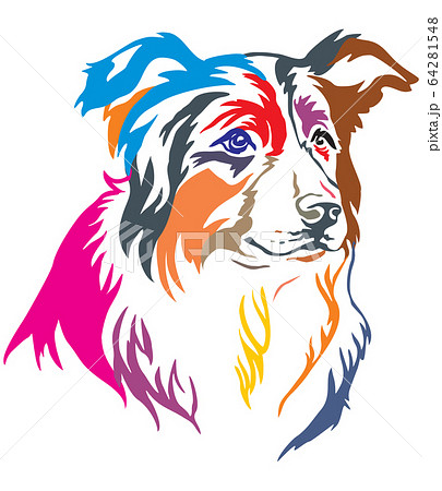 Colorful decorative portrait of Border Collie 64281548