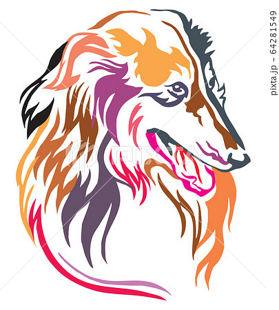 Colorful decorative portrait of Collie vector 64281549