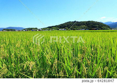 天香具山と田園風景の写真素材