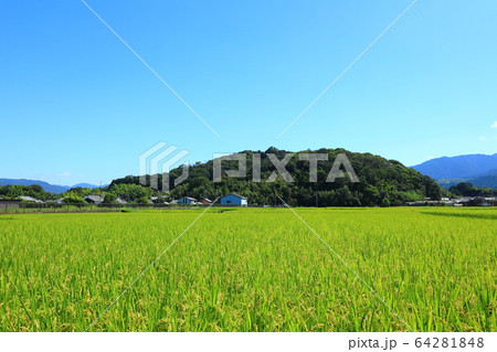 天香具山と田園風景 天香具山と田園風景 64281848